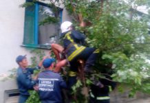 В Павлограде спасали мужчину, который застрял на дереве