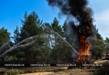 «Репетиция» лесного пожара: в Павлограде провели масштабные учения (ФОТО и ВИДЕО)