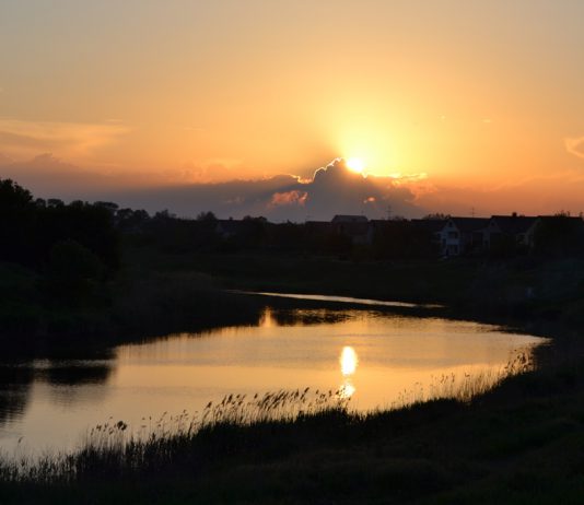 Фотоконкурс «Енергія мого міста»: любуемся красотой