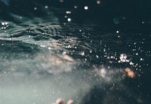 В Павлограде нашли утопленника