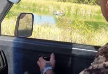 Под Павлоградом «на горячем» поймали браконьеров (ВИДЕО)