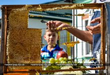 Яблочный Спас в Павлограде отмечают ярмаркой пасечников (ФОТО)