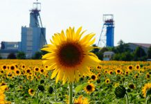 В Павлограде отменили шествие шахтеров и салют