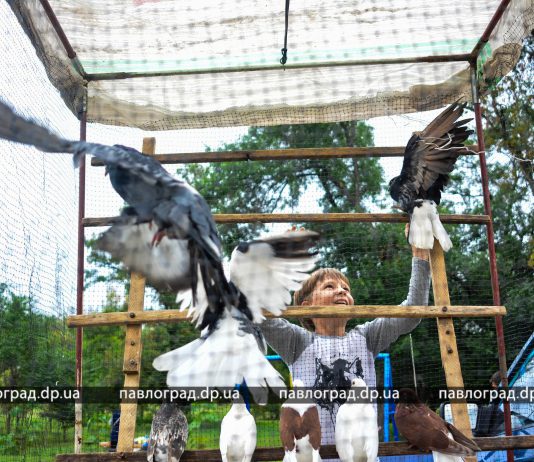 Не только голуби: в Первомайском парке прошел фестиваль птиц (ФОТОРЕПОРТАЖ)