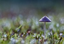 Начинается осень: на Павлоградщину надвигаются дожди