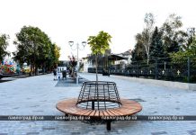 Бульвар или переулок Голубицкого? Павлоградцы могут проголосовать