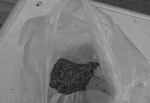 В Терновке полиция изъяла целый «букет» наркотиков