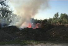 В городском парке Павлограде горело больше 100 м2 сухостроя (ВИДЕО)