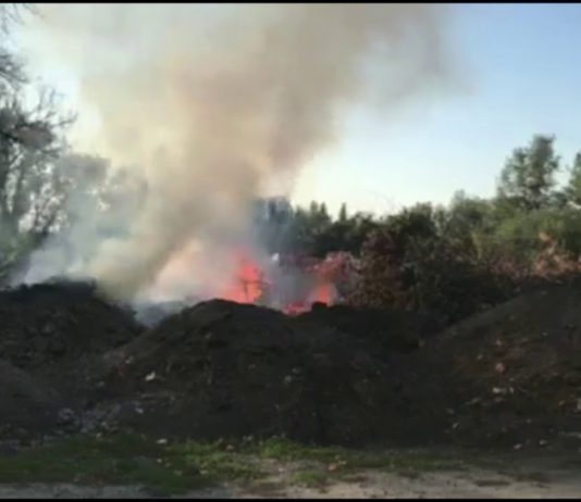 В городском парке Павлограде горело больше 100 м2 сухостроя (ВИДЕО)