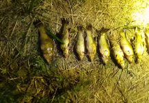 На Павлоградщине браконьер поймал около 25 кг рыбы (ВИДЕО)