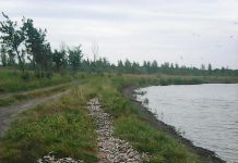 На р. Самара в Павлограде массово дохнет рыба (ФОТО и ВИДЕО)