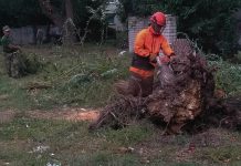 На ПШС убрали территорию заброшенного садика