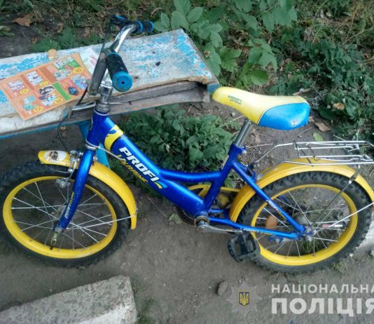 Павлоградец украл у 4-летнего ребенка велосипед