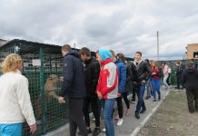 Школьники привезли бездомным животным около 50 кг корма