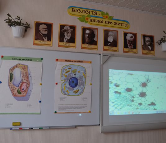 Как совместить IT и экологию придумали в шахтерском городе Терновка