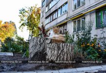 За 2 года ОСМД преобразило дом (ФОТОФАКТ)