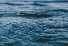 Тело пропавшего ребенка нашли водолазы