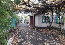 Павлоградец зарезал 78-летнего пенсионера