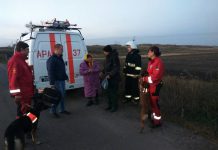 Спасатели, кинологи, лесники и полиция искали бабушку-грибника