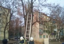 В Терновке пожарные сняли с дерева ребенка