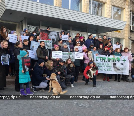 В Павлограде прошел марш за права животных (ФОТО и ВИДЕО)