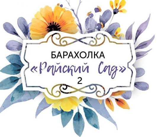 Днепряне смогут купить необычные цветы и помочь павлоградской больнице (ВИДЕО)