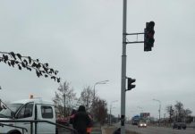 В Павлограде коммунальщикам пришлось чинить светофор, который сбил неизвестный водитель