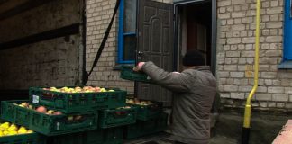 Предприниматель подарил павлоградской детворе 4 т яблок