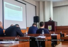 На муниципальную полицию в Павлограде потребуется 2,6 млн грн