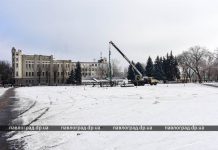 В Павлограде начали устанавливать главную ёлку (ВИДЕО)