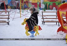 Только из Детского парка Павлограда вывезли 12 тонн снега