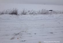 В Павлоградском районе мужчина убил человека и бросил его на обочине