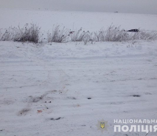 В Павлоградском районе мужчина убил человека и бросил его на обочине