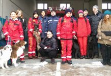 В Павлограде готовят собак-терапевтов