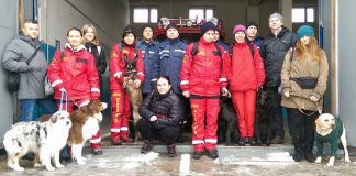 В Павлограде готовят собак-терапевтов