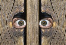 В Дмитровке женщина обворовывала соседа, а он даже не знал