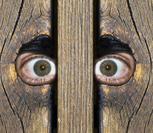 В Дмитровке женщина обворовывала соседа, а он даже не знал