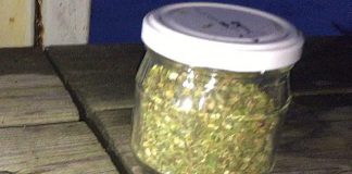 Попутчик с банкой конопли украл телефон