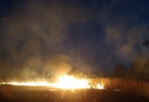 В Павлограде из-за пожара сухостоя едва не загорелись дома