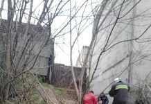 Собака из Павлограда помогла найти женщину, почти трое суток просидевшую в коллекторе