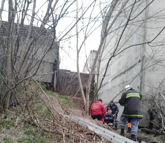 Собака из Павлограда помогла найти женщину, почти трое суток просидевшую в коллекторе