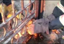 В Павлограде спасали собаку, застрявшую в ограде (ВИДЕО)