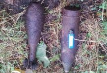 Прогуливаясь у реки, павлоградец нашел три мины