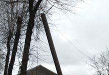 В Павлограде из-за ветра столб навис над пешеходной зоной (ФОТОФАКТ)