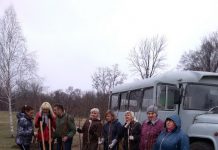 В парке им. 1 мая на Аллее Героев стало больше рябин