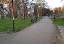 Когда начнется и сколько будет стоить реконструкция сквера им. Шевченко?