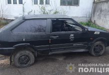 В Павлограде пьяный мужчина катался на угнанном авто