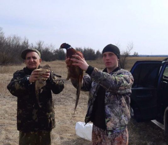 В городском парке Павлограда выпустили фазанов (ВИДЕО)