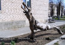 В Павлограде вандалы сломали скульптуру во дворе детской больницы