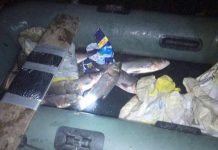 На Юрьевщине задержали браконьера с 20 кг толстолобика